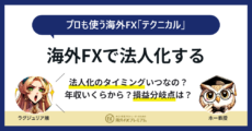 海外fxで法人化する